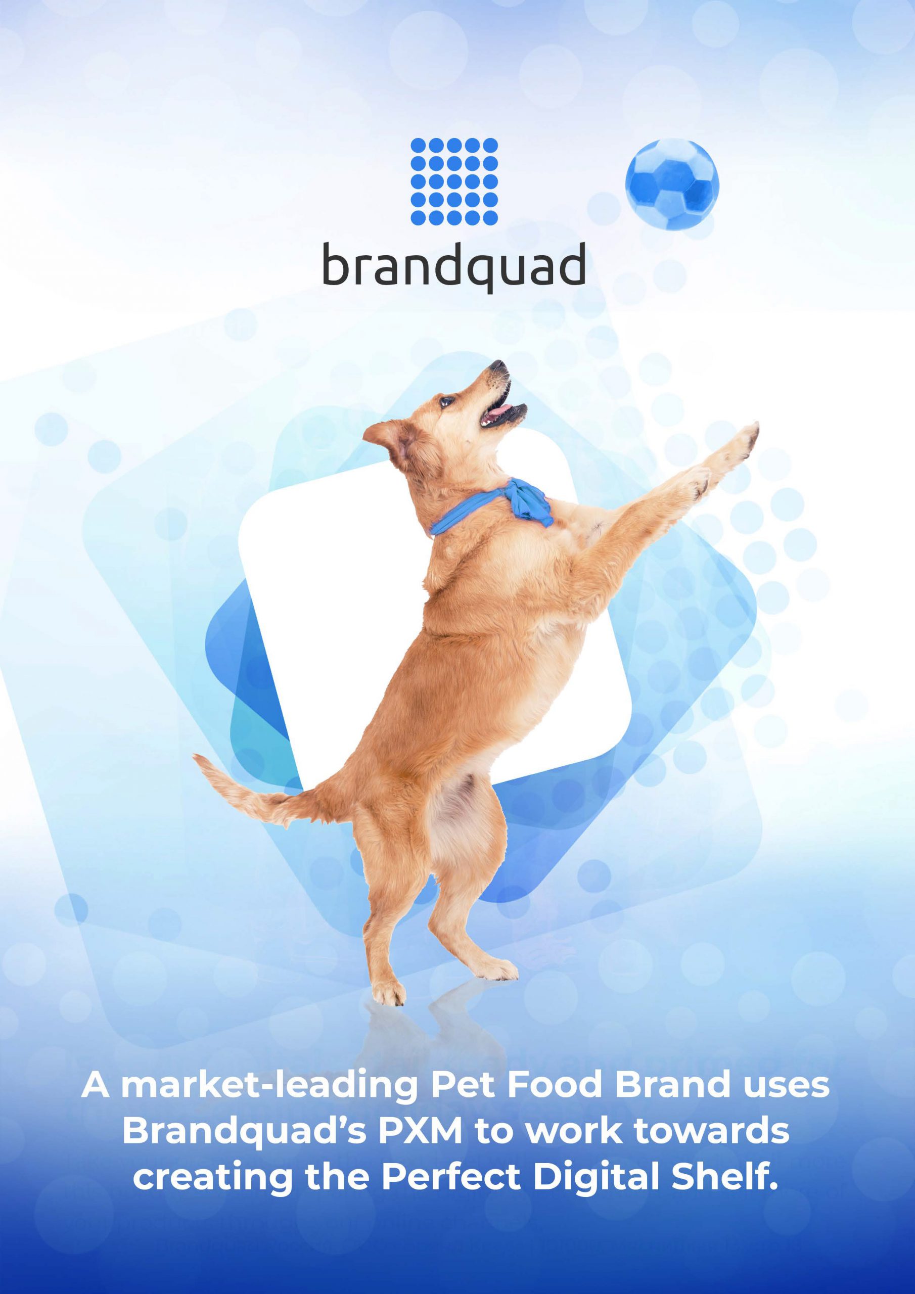 A marketleading pet food brand creates the perfect digital shelf